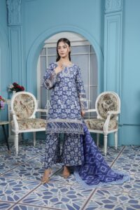 HAYAT'S Women Stitched 3pcs